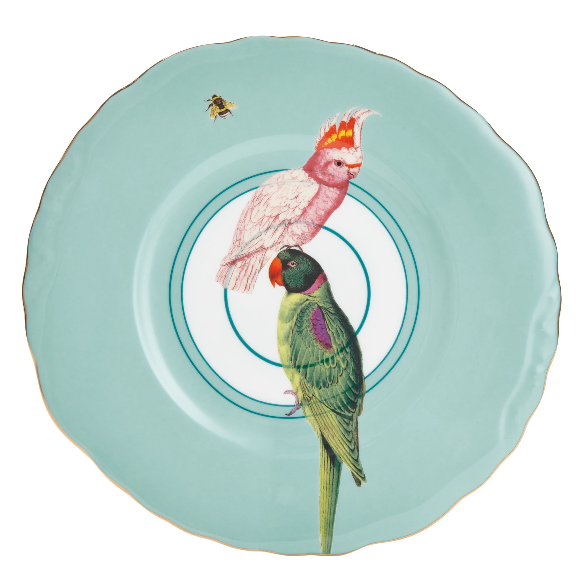 Yvonne Ellen Parrots Plate Review