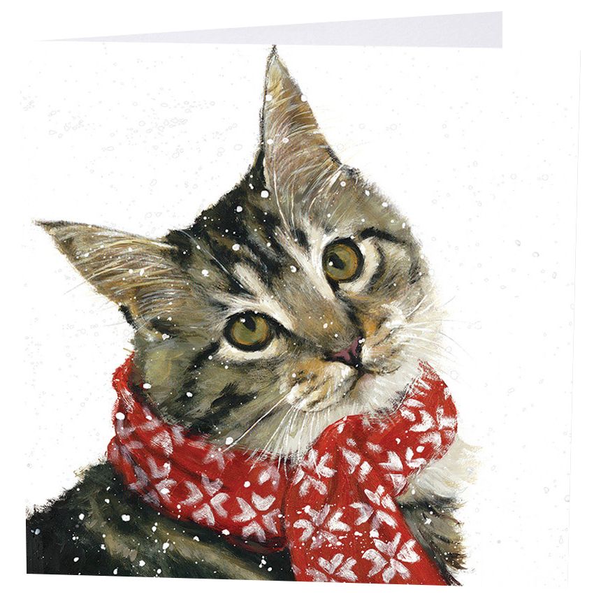 Art Marketing Ollie Charity Cards, Pack of 6