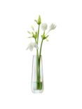 LSA International Pearl Optic Bud Vase, H20cm