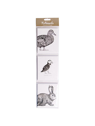 Art File Hare/Puffin Notecards, Pack of 12