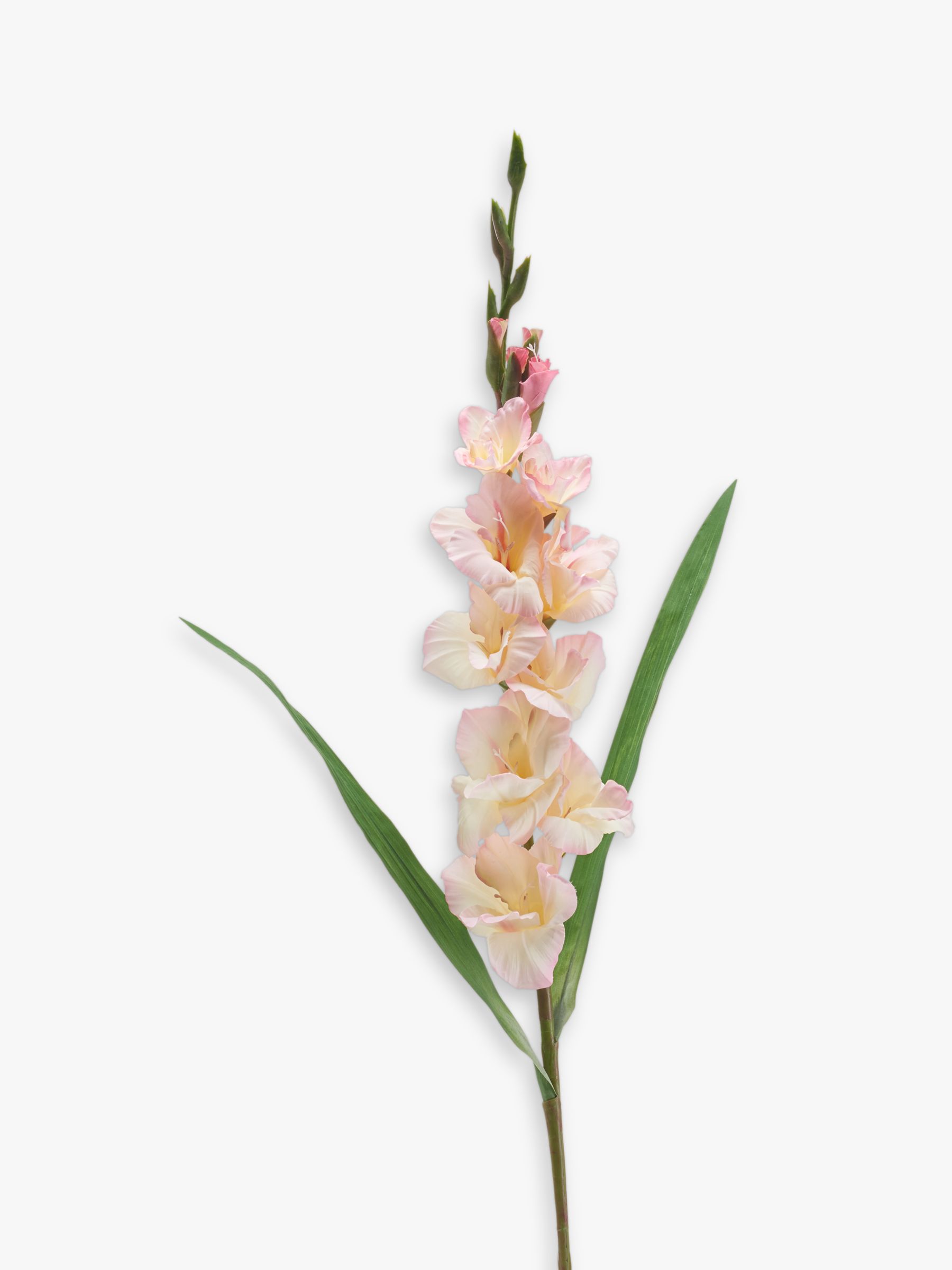 Peony Artificial Gladioli review