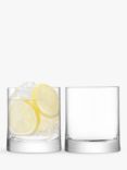 LSA International Gin Glass Tumblers, Clear, 310ml, Set of 2