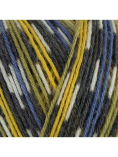West Yorkshire Spinners Signature 4 Ply Yarn, 100g, Blue Tit