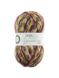 West Yorkshire Spinners Signature 4 Ply Yarn, 100g, Goldfinch