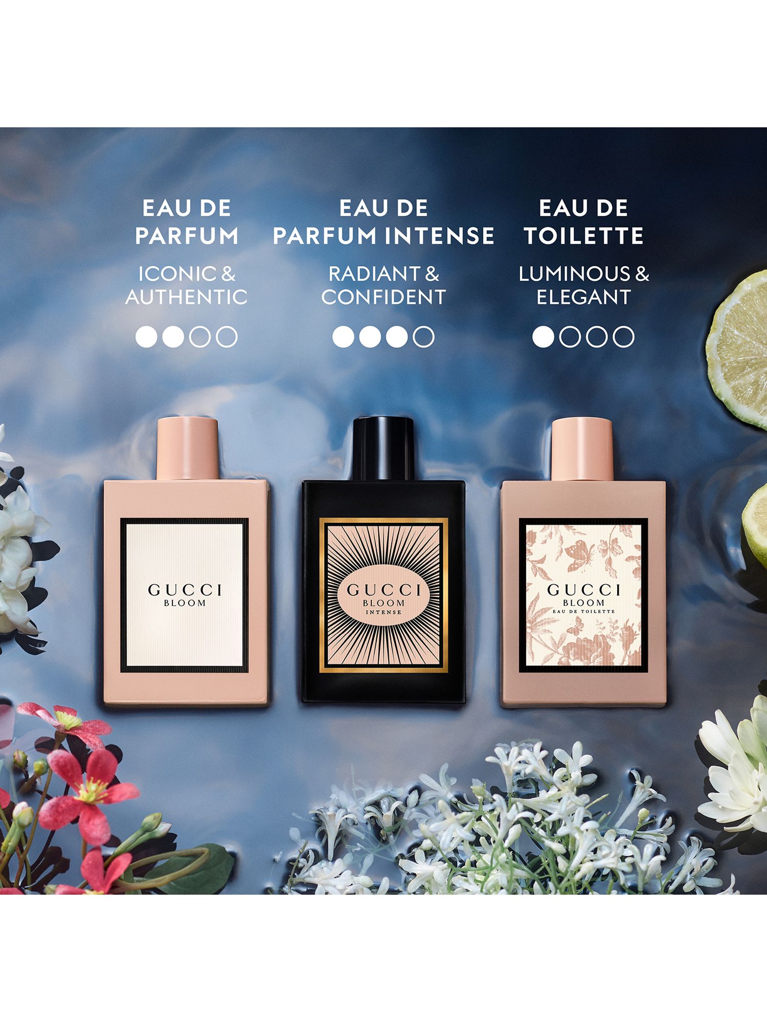 gucci bloom 100ml perfume