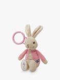 Peter Rabbit Flopsy Jiggle Toy