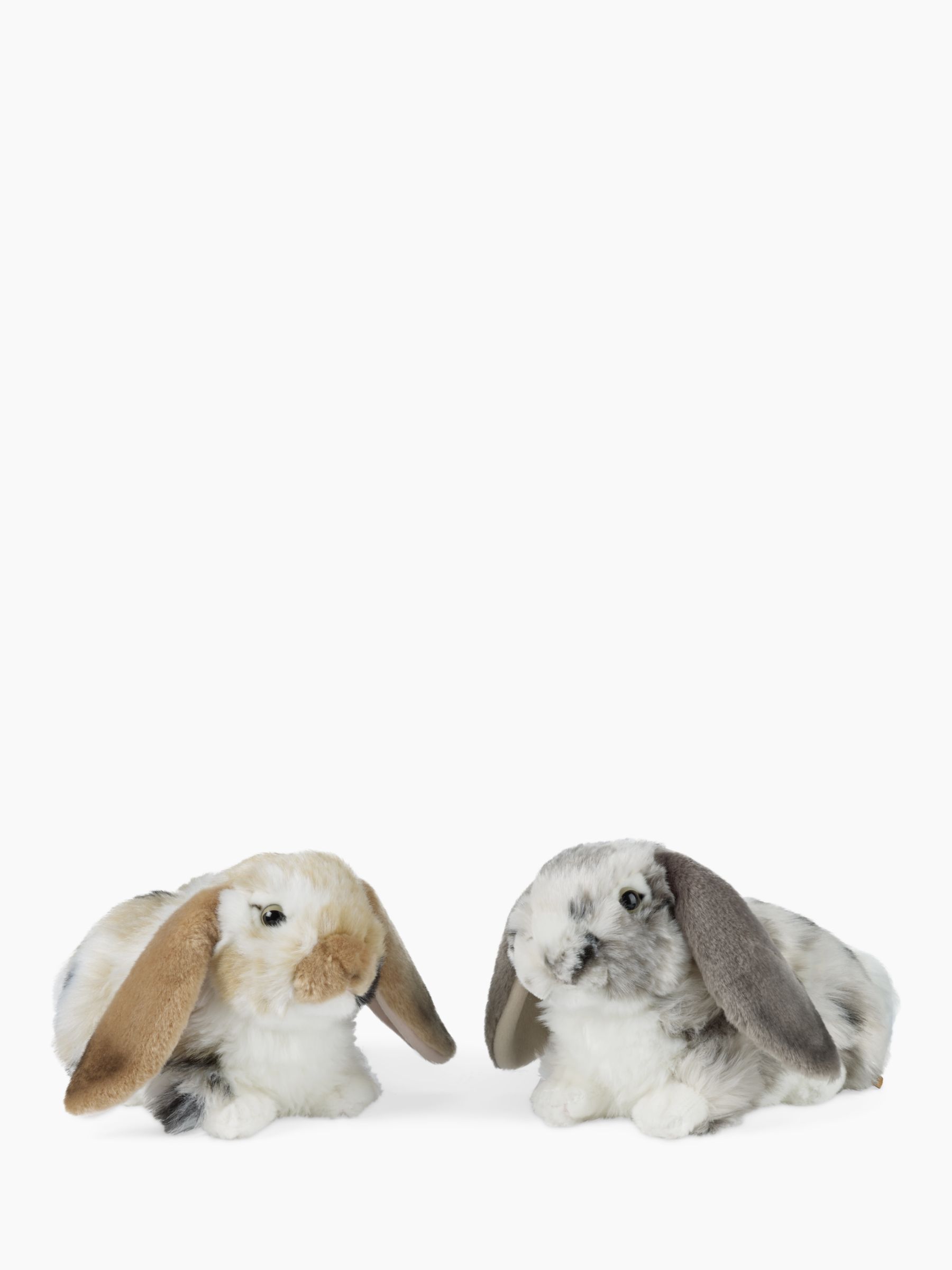 living nature lop eared rabbit