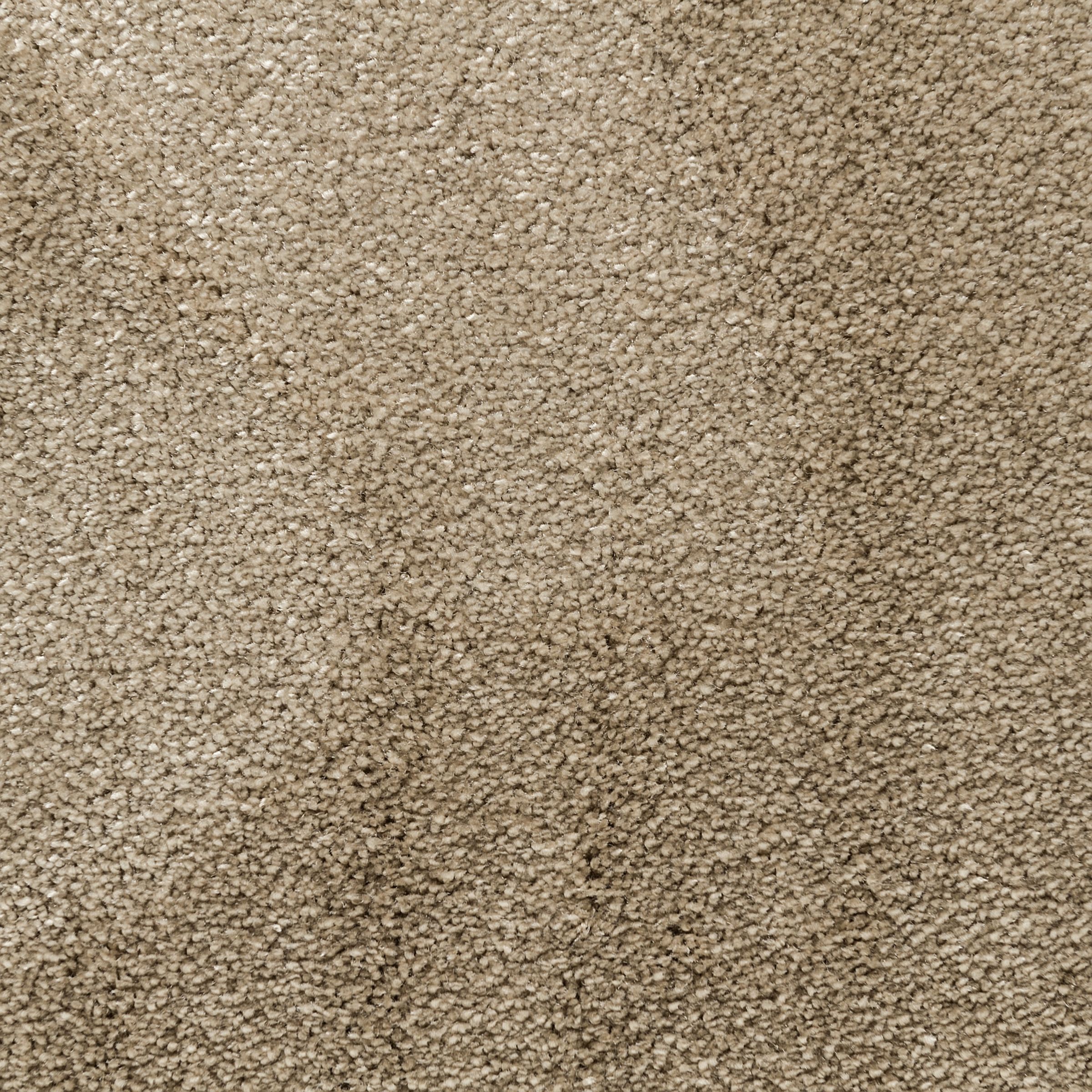 Elements Savoy Synthetic Soft Cut Pile Carpet