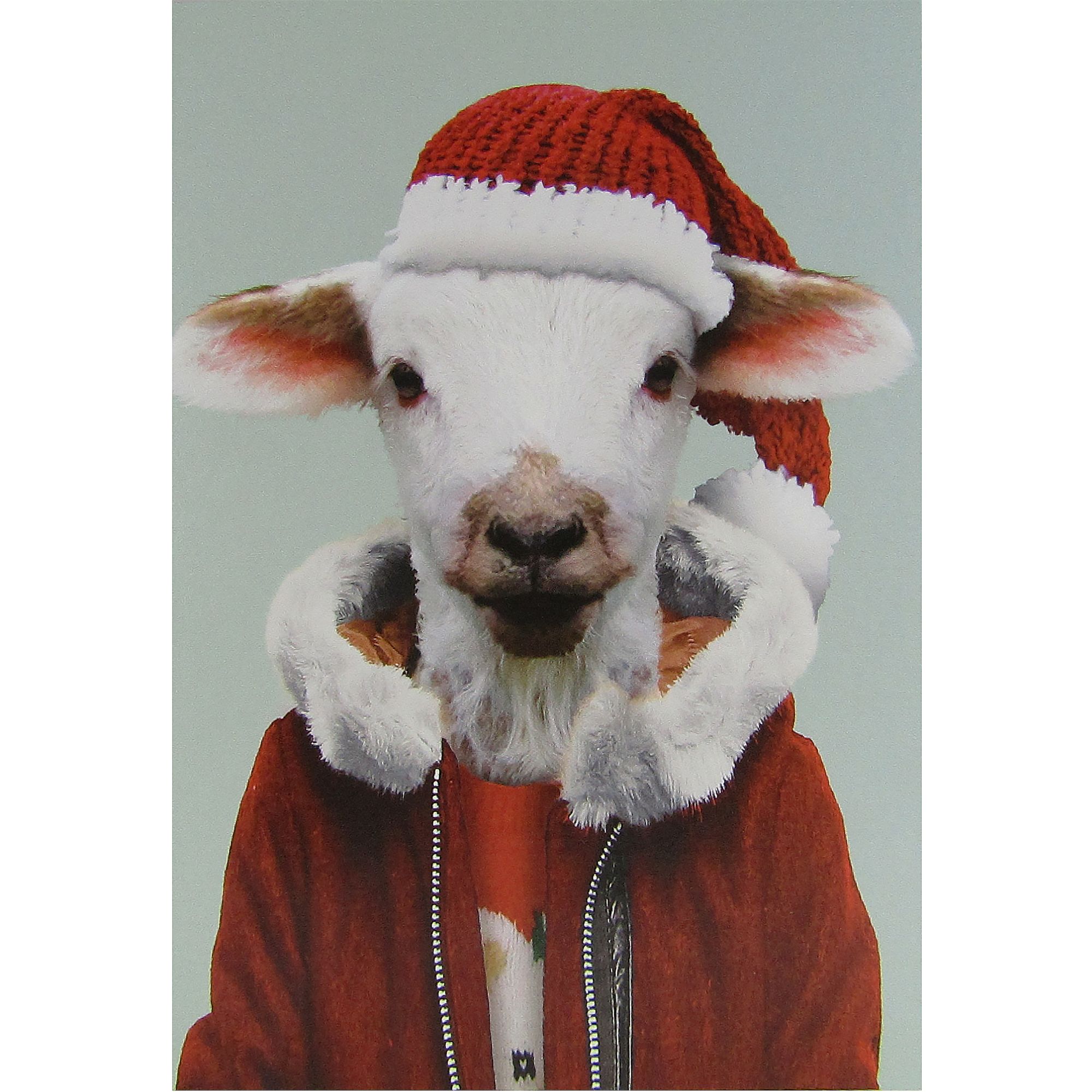 Christmas Cards Single Multipack Christmas Cards At John Lewis - lagom designs sheep christmas lamb card