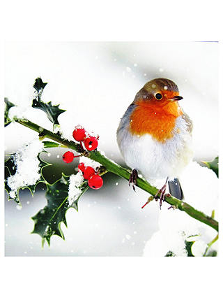 Ling Designs Robin In The Snow Christmas Card
