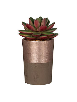 John Lewis & Partners Artificial Single Succulent, Green/Pink