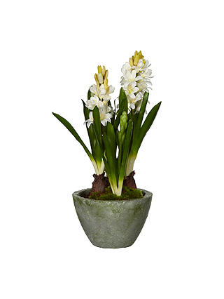 John Lewis & Partners Artificial Hyacinth Pot, Cream