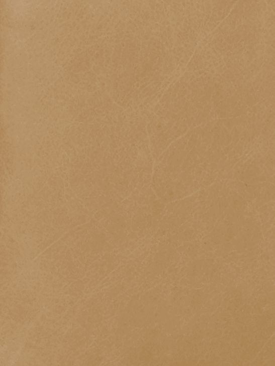 Sellvagio Parchment
