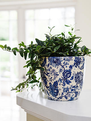 Ivyline Monza Vintage Floral Print Indoor Planter, Blue/White