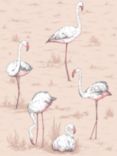 Cole & Son Flamingos Wallpaper, 112/11039