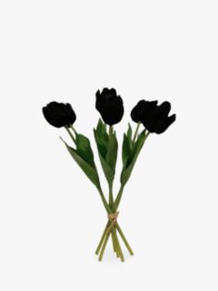 Peony Single Stem Tulip, Set of 6, Black