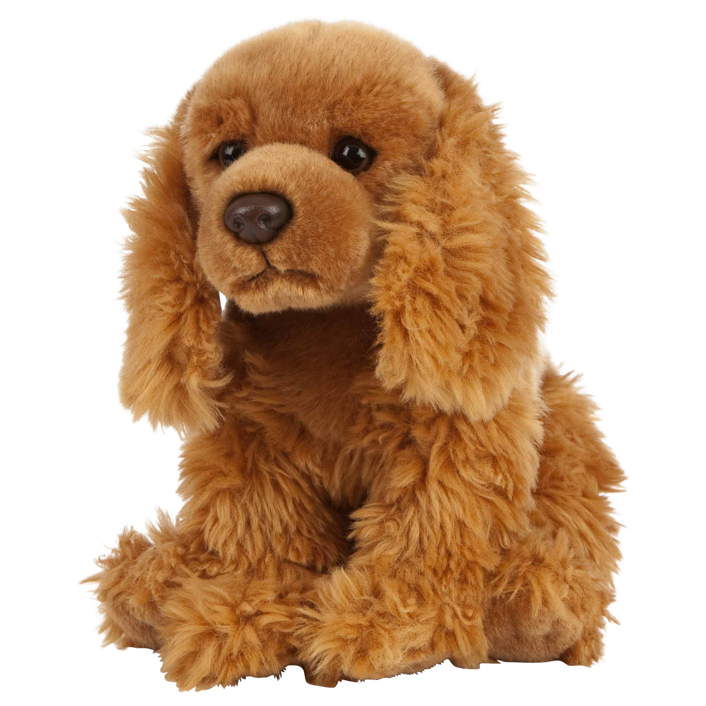 teddy bear chow puppies for sale