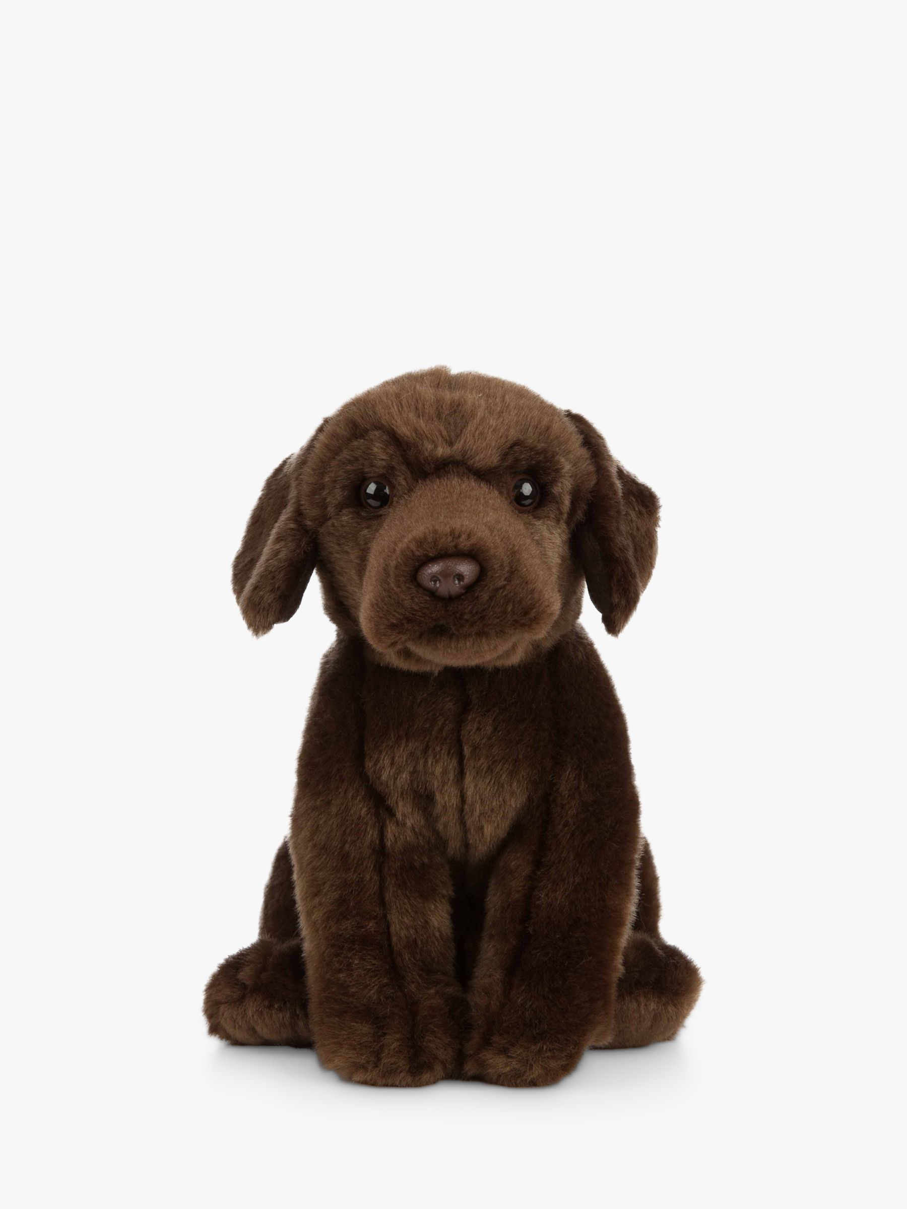 chocolate labrador cuddly toy