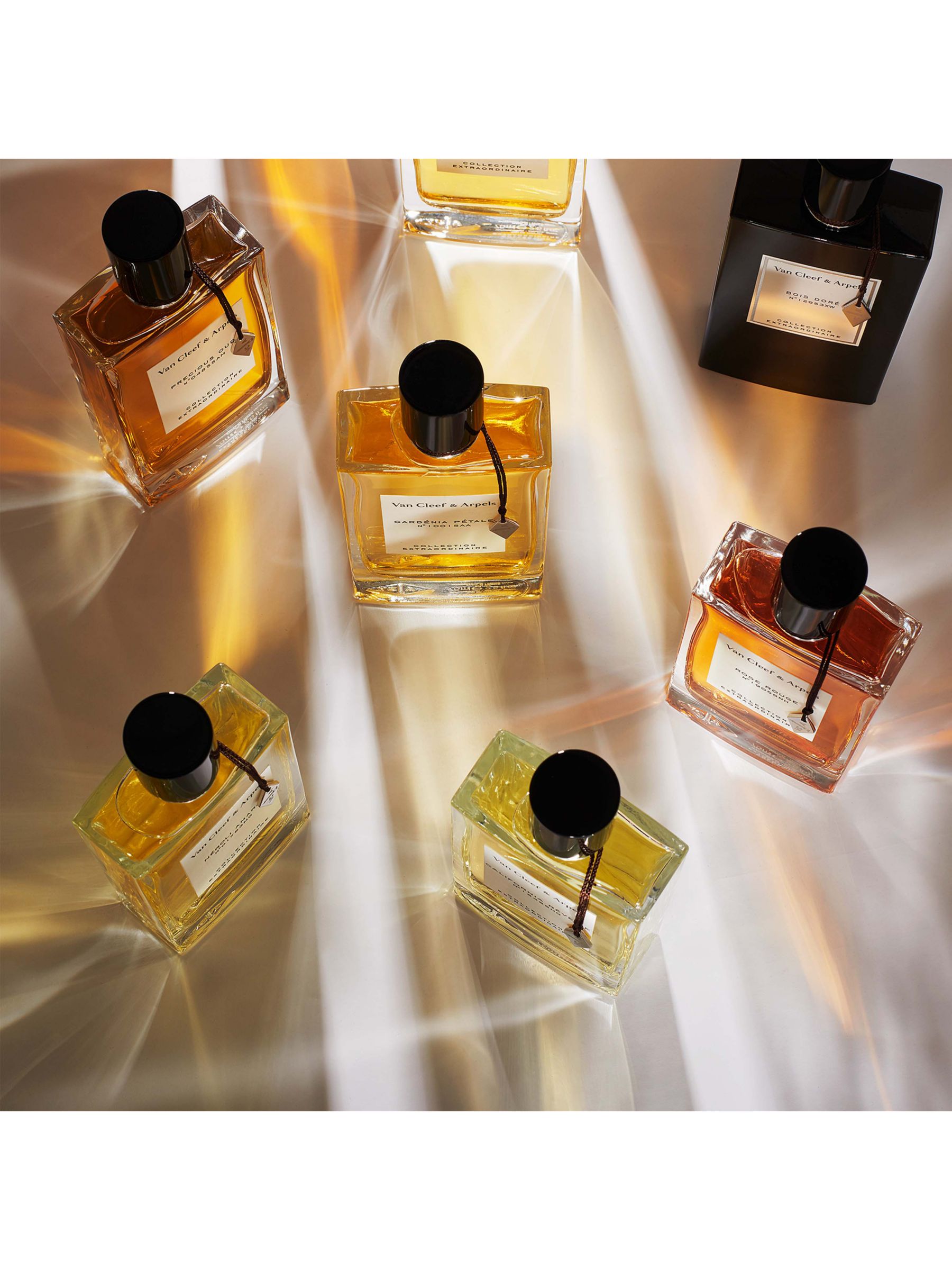 Van Cleef & Arpels Collection Extraordinaire California Rêverie Eau de Parfum, 75ml 4