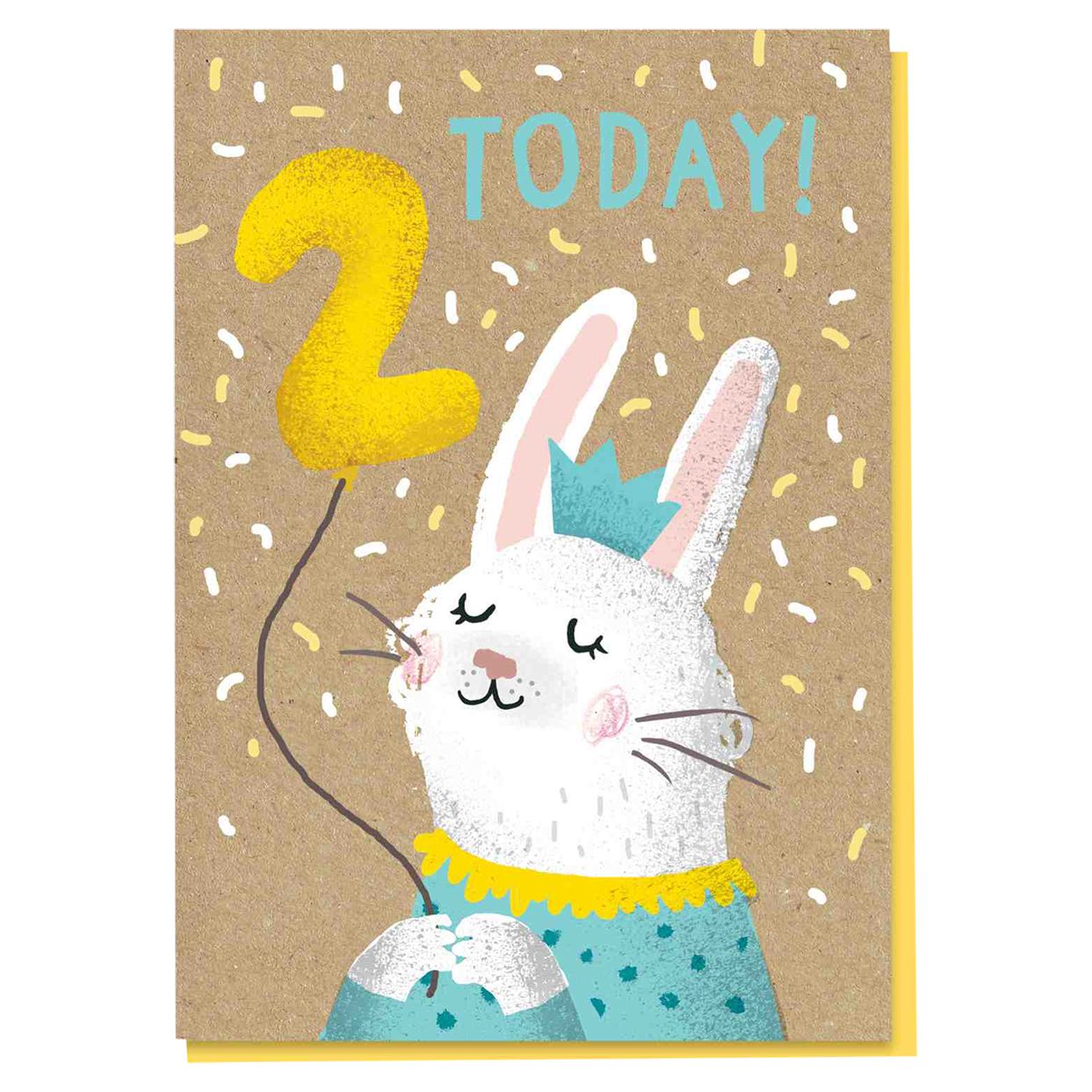 Stormy Knight Bunny 2nd Birthday Card