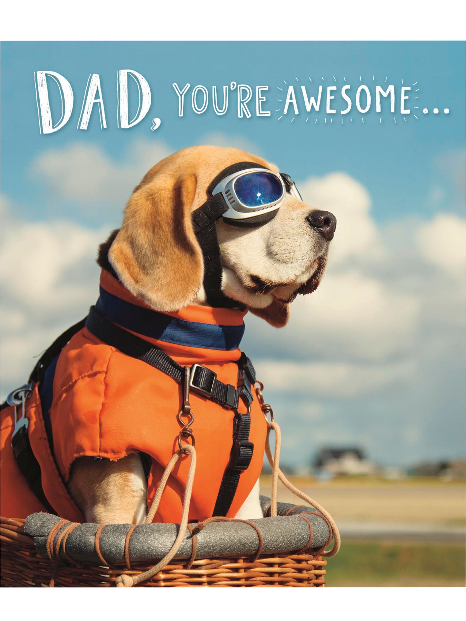 UK Greetings Beagle Dad Birthday Card