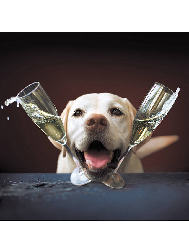 Woodmansterne Dog & Champagne Greeting Card