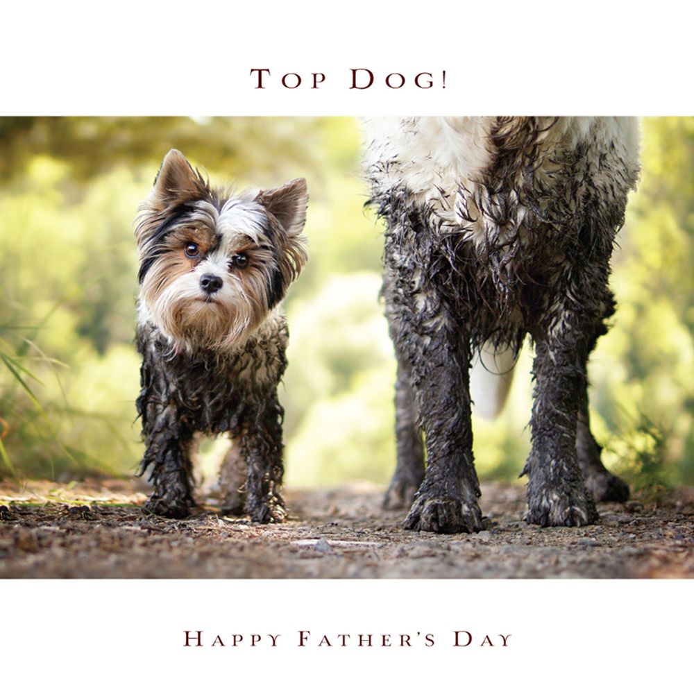 Ling Designs Muddy Walk Father's Day Card