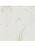 Sanderson Farne Grasses Wallpaper