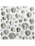 Designers Guild Captain Thomas Brown's Shells Wallpaper, PJD6000/03