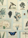 Designers Guild Flora and Fauna Wallpaper