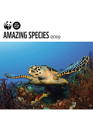 WWF Amazing Species 2019 Square Calendar