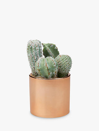 John Lewis & Partners Artificial Cactus in Copper Pot, 14cm