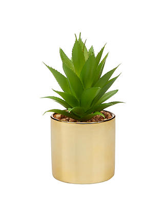 John Lewis & Partners Artificial Spiky Succulent Plant in Gold Pot