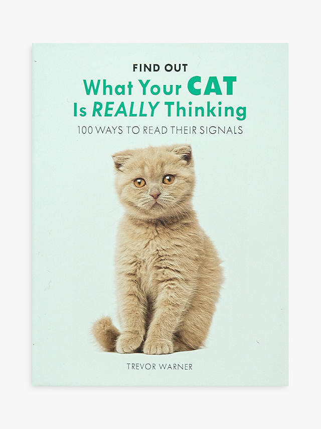 Allsorted What Is Your Cat Thinking Book
