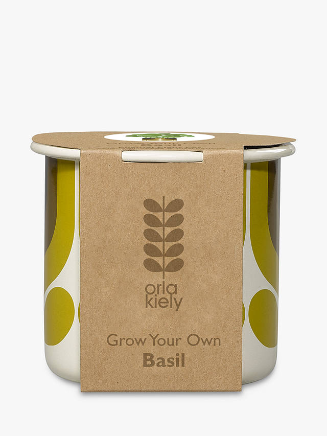 Soil and Seeds Included Yellow Orla Kiely Striped Tulip Grow Your Own Basil
