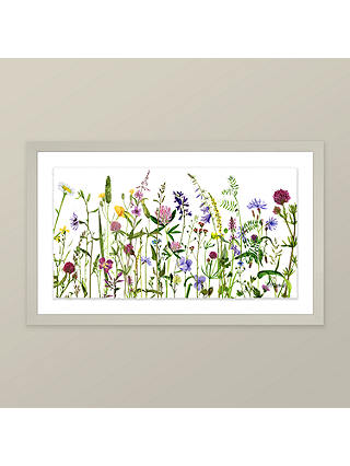 Adelene Fletcher - Botanical Floral Framed Print & Mount, 26 x 42cm