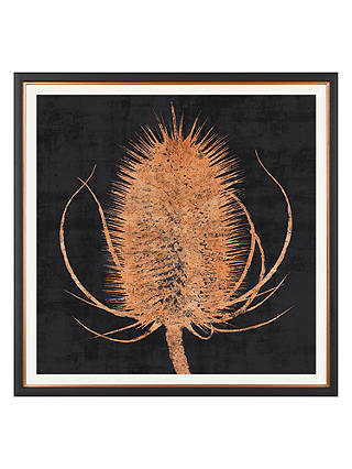 Charlotte Oakley - Copper Teasel Framed Print & Mount, 36 x 36cm, Dark Grey/Metallic