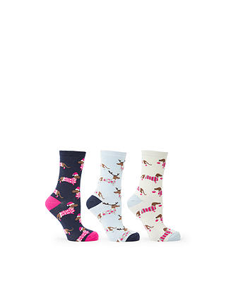 John Lewis & Partners Christmas Dachshund Dog Socks, Pack of 3, Navy/Ivory/Blue, One Size