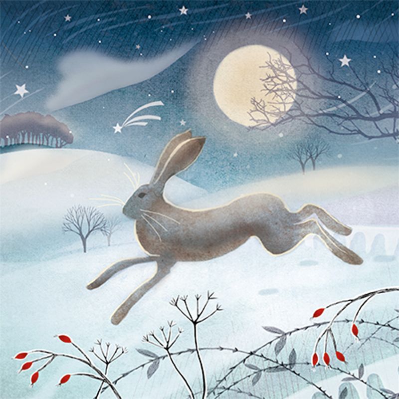 Hare christmas