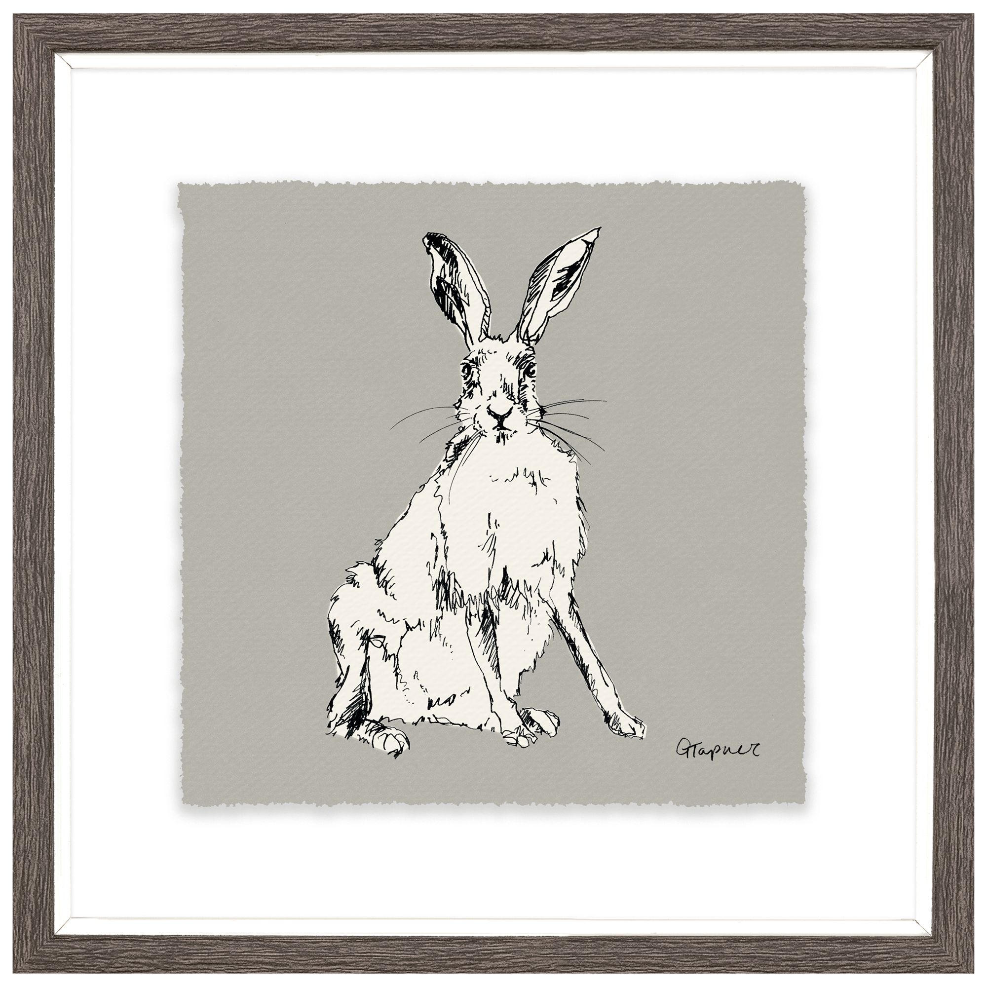 Gracie Tapner - Sitting Hare Framed Print & Mount, 23.5 x 23.5cm