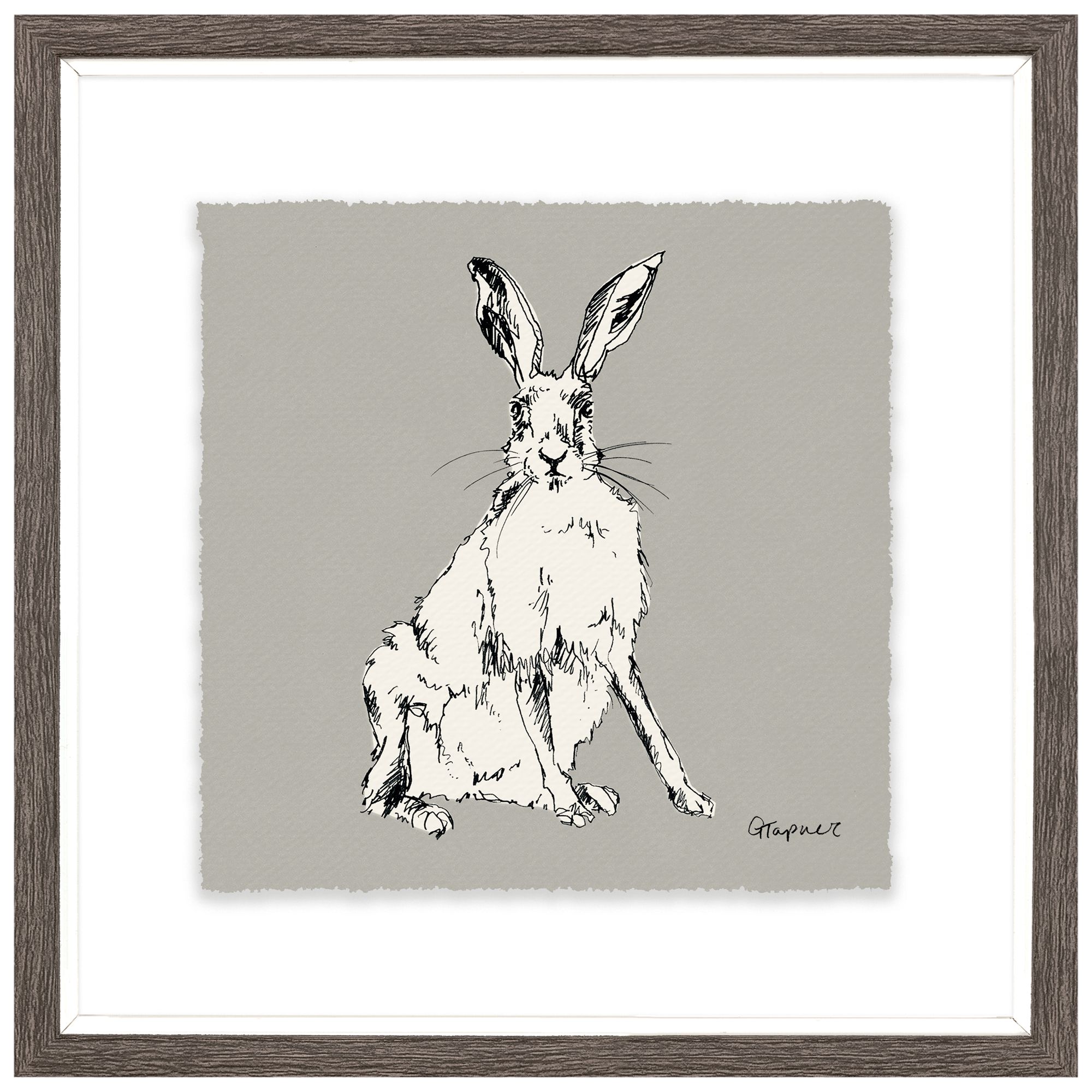 Gracie Tapner Sitting Hare Framed Print Mount 23 5 X 23 5cm Images, Photos, Reviews