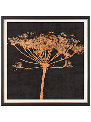 Charlotte Oakley - Copper Allium Framed Print & Mount, 36 x 36cm, Dark Grey/Metallic