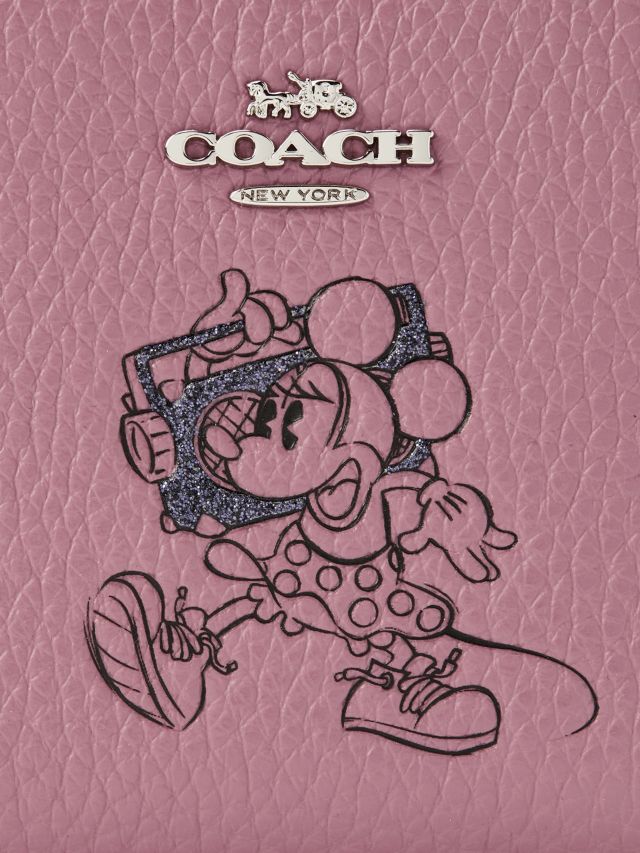 Minnie mouse coach on sale wallet