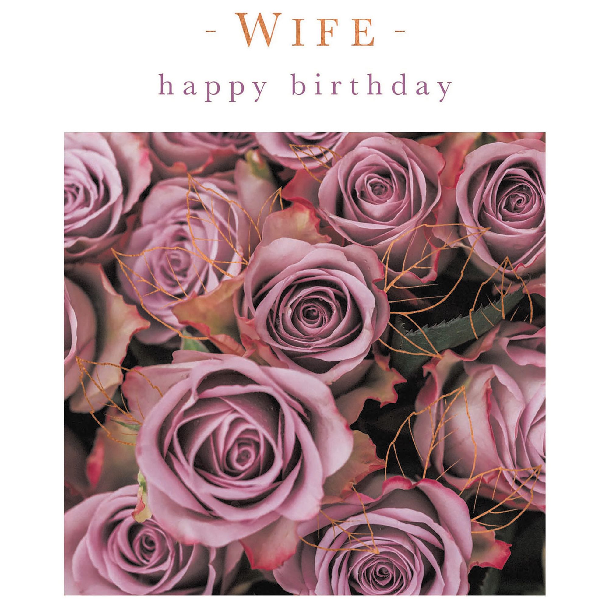 Woodmansterne Beautiful Wife Birthday Card