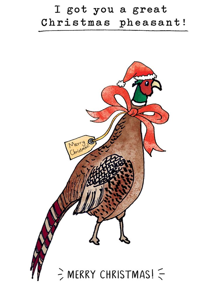 Ling Design Pheasant Christmas Card at John Lewis & Partners