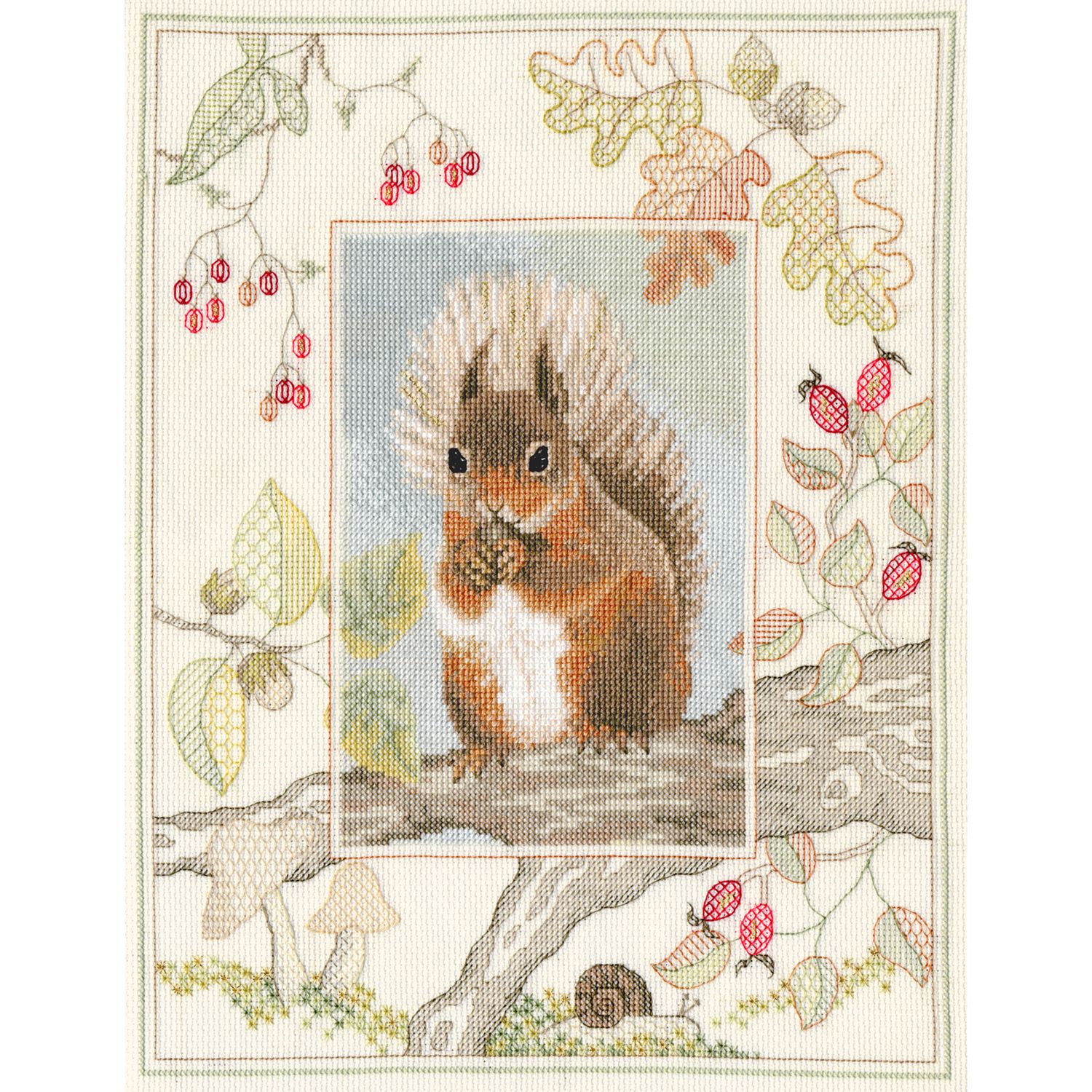 Buy Derwent Wildlife Squirrel Cross Stitch Kit Online at johnlewis.com