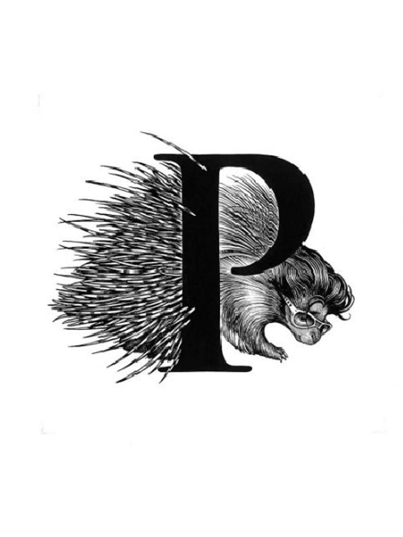 Rory Dobner Porcupine Decorative Tile review