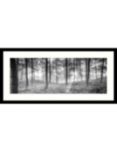 Mike Shepherd - Misty Trees Framed Print & Mount, 49x 104cm