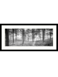 Mike Shepherd - Misty Trees Framed Print & Mount, 49x 104cm