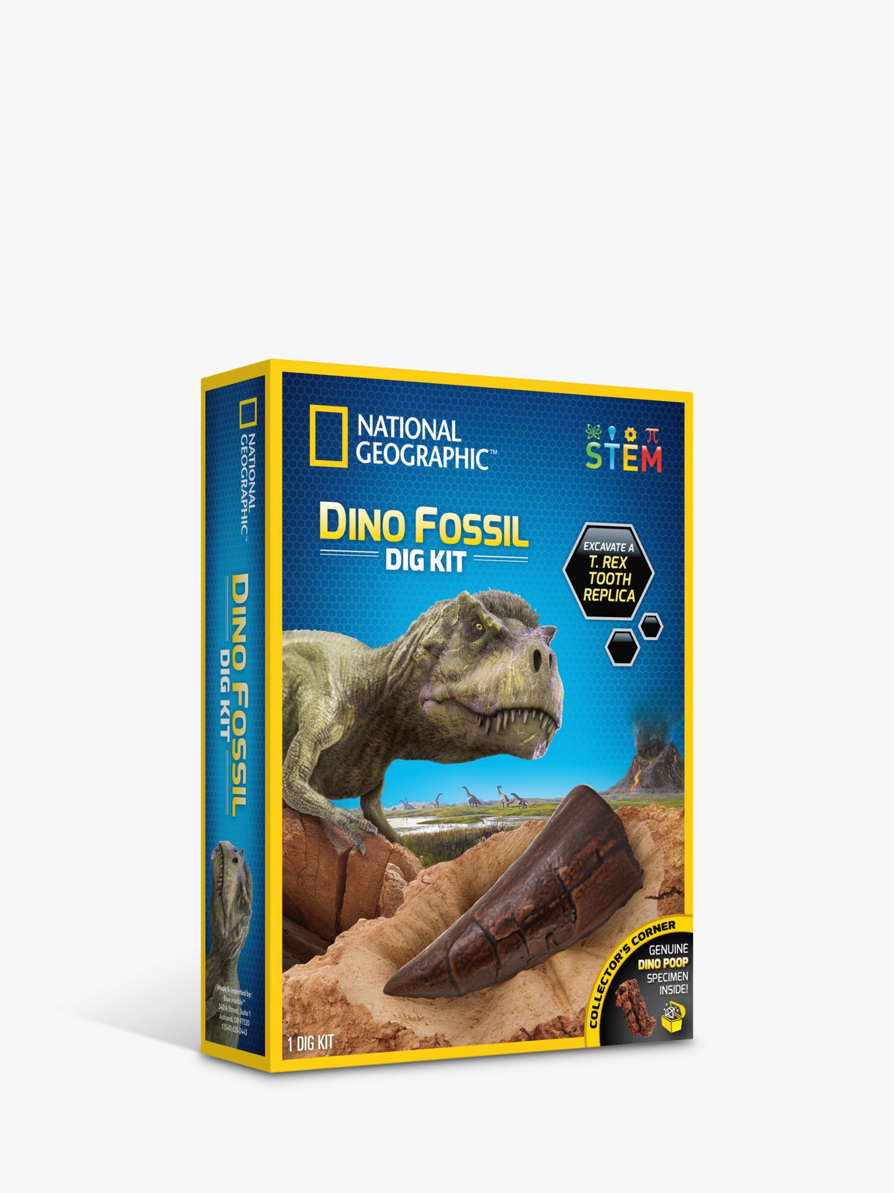 National Geographic Dino Fossil Dig Kit Oculto T Rex diente réplica excavar UK 